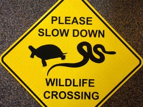The Huron Stewardship Council presented Central Huron council with a proposal to erect wildlife crossing signs on two roads in the municipality. Reptiles, specifically turtles, are being killed at high rates across the county.(Contributed photo)