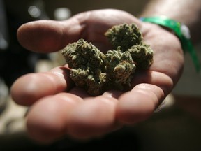 An attendee holds marijuana buds at the International Cannabis & Hemp Expo in Oakland, California September 3, 2011. REUTERS/Mathew Sumner