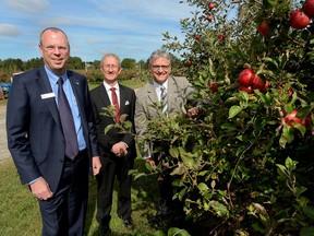 Steve Bolton, president and chief executive of Libro Credit Union, left, joins Wayne Caldwell, centre, and Rob Gordon of the University of Guelph at the Dwarf Tree Orchard in London on Wednesday. Libro announced it is donating $500,000 to create a professorship at the school. (MORRIS LAMONT, The London Free Press)