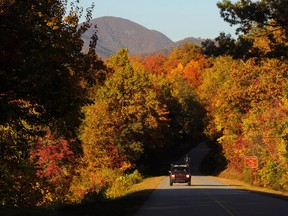 Fall colour along the Blue Ridge Parkway not far from Asheville, N.C., at Bent Creek Gap. (Asheville Convention & Visitors Bureau via AP)