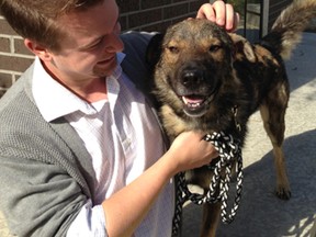 Kyle Jahns, Winnipeg Humane Society communications co-ordinator, spends some time with shepherd/husky cross Benjamin Moore on Thursday.