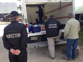 Provincial officials raid Glencolton Farm in Durham, Ont. (THE CANADIAN PRESS/HO-Michael Schmidt)