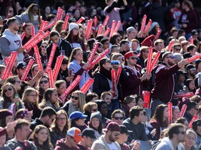University of Ottawa Gee-Gees fans cheer on their team during the annual Panda Game against the Carleton Ravens at TD Place on Saturday, Oct. 3 2015 (Chris Hofley/Ottawa Sun)