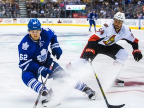 Toronto Maple Leafs' William Nylander and Ottawa Senators' Guillaume Lepine during preseason action in Toronto on Monday September 21, 2015. (Ernest Doroszuk/Toronto Sun)