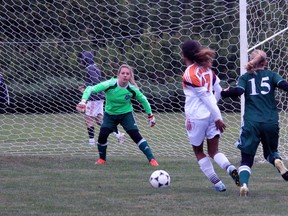 Lambton Lions goalkeeper Taylor Dyer prepares for a shot from Mohawk Mountaineers striker Gabrielle Krebs during an Ontario Colleges Athletic Association women's soccer game Saturday afternoon in Sarnia. Mohawk earned a 4-1 victory. (Terry Bridge/Sarnia Observer/Postmedia Network)