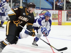 Sudbury Wolves forward David Levin gets his stick on a puck being carried by Sarnia Sting's Alex Black during OHL action at Sudbury Community Arena on Sunday afternoon. (Gino Donato/Sudbury Star/Postmedia Network)