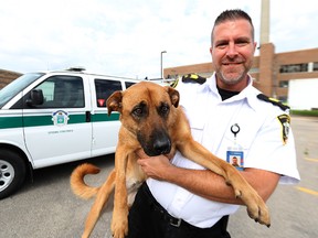 Winnipeg Animal Services Chief operating officer Leland Gordon and Lexi.