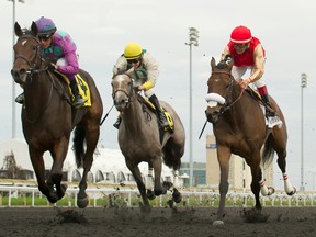 Jockey Luis Contreras guides Gamble’s Ghost (left) to victory in the $150,000 Mazarine Stakes yesterday at Woodbine Racetrack. (Michael Burns/Photo)