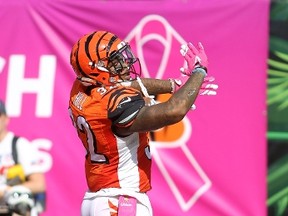 Bengals running back Jeremy Hill celebrates one of his three TDs on Sunday. (AFP)