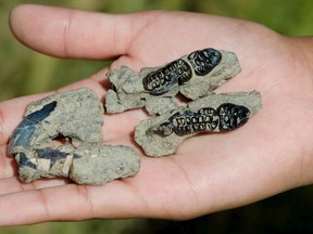 The teeth of Kimbetopsalis is pictured in this undated handout photo provided by Tom Williamson. Scientists on October 5, 2015, announced the discovery in northwestern New Mexico's badlands of the fossil remains of Kimbetopsalis simmonsae, a plant-eating rodent-like mammal boasting buck-toothed incisors like a beaver that lived just a few hundred thousand years after the mass extinction, a blink of the eye in geological time. REUTERS/Tom Williamson/Handout via Reuters