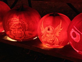 This year's Fiery Faces will benefit the Brain Injury Association of Sarnia-Lambton. The fundraiser takes part in three phases. The first is pumpkin carving night, set for Oct. 23 at the Plympton-Wyoming Fairgrounds. On Oct. 24, a family fun day will be held at DeGroot's Nursery in Sarnia. (file photo)