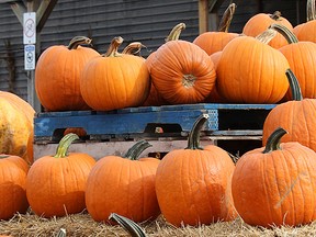 Piles of pumpkins at the Canal Road Farmers' Market in Bradford West Gwillimbury, Ont. (Miriam King/Postmedia Network)