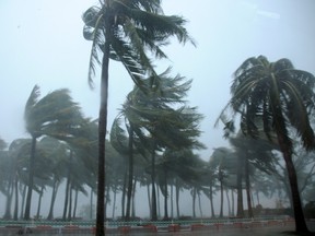 Trees are blown by Typhoon Mujigae on a street in Zhanjiang, Guangdong province, on Oct. 4, 2015. A typhoon with winds up to 112 miles an hour lashed China's south coast on Sunday, killing at least four people and leaving a trail of destruction and flooding as authorities issued the highest "red alert" emergency response. (REUTERS/Stringer)