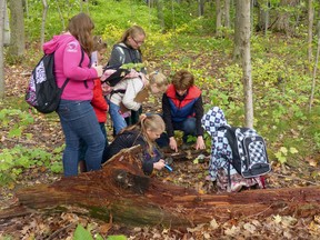 Carolinian Forest Festival