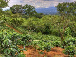 Costa Rica. (Fotolia)