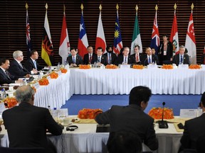 This file photo taken on Nov. 10, 2014 shows U.S. President Barack Obama (3rd R) taking part in a meeting with leaders from the Trans-Pacific Partnership (TPP) at the U.S. Embassy in Beijing. (AFP PHOTO/FILES/Mandel Ngan)