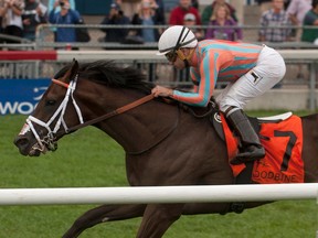 Conquest Daddyo and jockey Joe Bravo won the Summer Stakes at Woodbine and is a likely entrant for the Juvenile Fillies Turf. (MICHAEL BURNS/PHOTO)