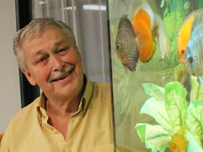 Jack VanderAa, president of the Sarnia Aquarium Society, poses with some of his discus at his Sarnia home. The life-long aquarium enthusiast has more than 30 tanks. (Tyler Kula, The Observer)