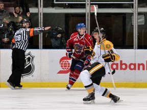 Anthony Salinitri celebrates his third goal of the season Friday night as the Sarnia Sting played host to the visiting Hamilton Bulldogs. The Sting put away Hamilton 2-1. (HANDOUT)