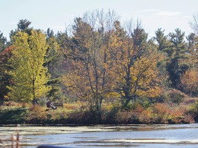 A couple takes a rest on a bench to enjoy the view and weather during the last day of the Fall Colours event at Little Cataraqui Conservation Area in Kingston, Ont. on Monday October 12, 2015. Julia McKay/The Kingston Whig-Standard/Postmedia Network