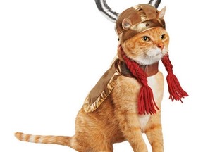 Pet Valu Halloween costumes for pets