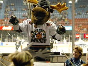 Mick E. Moose