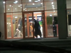 In this video frame grab made available by Associated Press Television News on Wednesday, Oct. 14, 2015, a wild bear leaves a shopping mall after pushing open its doors in the city of Khabarovsk close to the Chinese border, far eastern Russia.  The wild bear was shot and killed by police after wandering into a local shopping mall in Russia’s Far East.  (AP Photo/APTN)