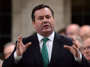 Jason Kenney is shown responding to a question during question period in the House of Commons on Parliament Hill in Ottawa on Nov. 18, 2014. (THE CANADIAN PRESS/Sean Kilpatrick)