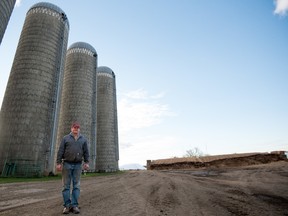 Ken Lewis on his farm in Spruce Grove on Thursday, Oct. 8. Despite the dry summer, Lewis had a more bountiful harvest than he expected. - Yasmin Mayne, Reporter/Examiner