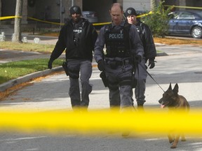 Peel Regional Police scoured a Brampton neighbourhood Saturday in search of a possible fourth suspect in a shooting that left a fellow officer and a civilian wounded late Friday. (CHRIS DOUCETTE/TORONTO SUN)