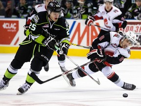 The Edmonton Oil Kings' Lane Bauer (25) battles the Moose Jaw Warriors' Jesse Shynkaruk (8) during first period WHL action at Rexall Place, in Edmonton Alta. on Saturday Oct. 17, 2015. David Bloom/Edmonton Sun/Postmedia Network