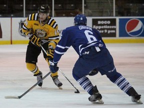 Sarnia Sting forward Pavel Zacha brings the puck up the ice with Mississauga Steelheads blueliner Stephen Gibson defending during the Ontario Hockey League game at the Sarnia Sports and Entertainment Centre Sunday night. The Sting won 4-1. (Terry Bridge, Sarnia Observer)