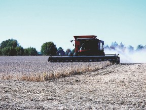 harvest