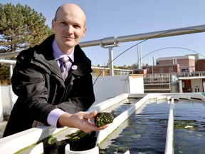Western University geography professor Adam Yates next to an experiment that’s part of the Thames River Experimental Stream Sciences centre October 19, 2015. Yates has partnered with the City of London, the Upper Thames River Conservation Authority and Thames River Clear Water Revival to find new ways to protect aquatic ecosystems, water quality and ecological health. CHRIS MONTANINI\LONDONER\POSTMEDIA NETWORK