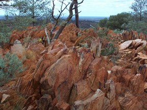 This photo provided by the Proceedings of the National Academy of Sciences (PNAS), taken in 2005, shows fossil-like rock found in Australia containing hints of life from 4.1 billion years ago. (Bruce Watson/Proceedings of the National Academy of Sciences (PNAS) via AP)