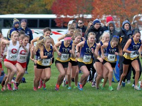 The Laurentian Voyageurs women's cross-country team lines up at the start of the Canisius Alumni Classic in Buffalo, N.Y., on Saturday. The LU women finished second overall as a team.