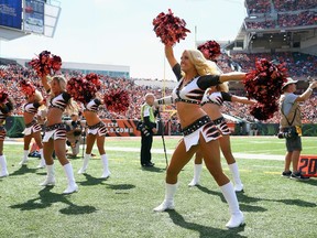 Bengals cheerleaders perform during the game against the Falcons at Paul Brown Stadium in Cincinnati on Sept. 14, 2014. (Andy Lyons/Getty Images/AFP/Files)