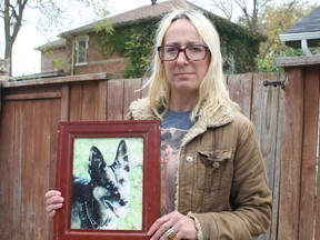 Karen Sutherland is shocked that an OPP officer in mistook her dog, Merrick, for a coyote, ran down the 21-year-old pooch down with his cruiser, then shot the animal dead in a residential neighbourhood in Collingwood. Sutherland holds a photo of her beloved pet. 
CHRIS DOUCETTE/Postmedia Network