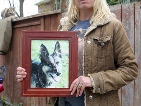 Karen Sutherland holds a photo of her dog, Merrick, in Collingwood Wednesday, Oct. 21, 2015. An OPP officer ran down the 21-year-old pooch with his cruiser, then shot her dead in a residential neighbourhood in Collingwood Monday night. (CHRIS DOUCETTE/TORONTO SUN)