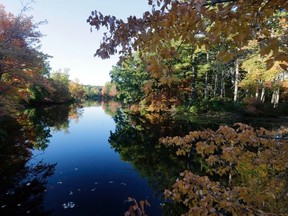 In this Monday, Oct. 12, 2015, photo, fall foliage is reflected in Balch Pond, in Ayer, Mass. For much of New England, the fall foliage is a little less glorious this autumn. Experts said a hotter than usual September and a dearth of rainfall are two reasons for the late and largely muted color display. (AP Photo/Steven Senne)