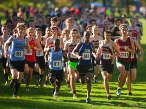 CCH's Muhumed Sirage leads the pack just after the start in the senior boys' race at the VRA Central cross country meet held at Springbank Park in London on Thursday. Sirage ran the race conservatively after falling last week at Springwater, and ran alongside Medway's Matt Talbot, only putting on some speed at the end of the race to get a victory.  (MIKE HENSEN, The London Free Press)