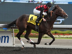 Jockey Jesse Campbell guides Tucci Stable’s Riker to victory in the $150,000 Grey Stakes at Woodbine Racetrack on Oct. 4, 2015. Riker has been pointed to the Breeders’ Cup Juvenile. (MICHAEL BURNS/Photo)