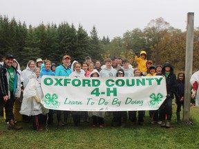 Dozens of Oxford 4-H members and alumni came out to help plant trees at Pittock in honour of the association's 100th anniversary in Ontario. (MEGAN STACEY/Sentinel-Review)