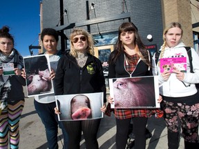Animal Liberation Alliance London members Savannah Hayes, left, Monnika Bosta, Samantha McPherson, Chelsea Gross and Laine Cooper hold photos of pigs in transit to slaughterhouses outside of Jack Astor?s on Richmond Street in London. (Free Press file photo)