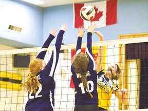 PCE Sabres volleyball oct. 19, 2015_4