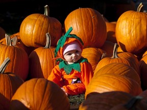 Saunders Farm near Munster is a popular family Halloween spot, with a variety of attractions and things to do. (File photo)