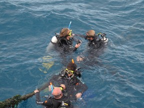 In this June 25, 2015 photo, scuba divers prepare to dive to the Great Barrier Reef, in Australia. Many scuba diving boats a day leave Cairns to bring divers and snorkelers to the reef for some of the best scuba diving in the world. (AP Photo/Wilson Ring)