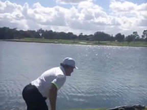 In a YouTube video, Jeremy Roenick attempts to jump on an alligator at a Florida golf course.