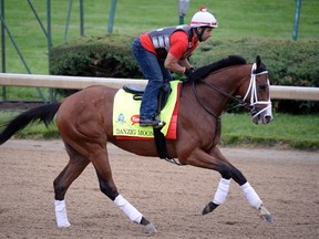 Exercise rider William Cano works out Danzig Moon trained by Mark Casse at Churchill Downs in Louisville on April 30, 2015. (Jamie Rhodes/USA TODAY Sports)