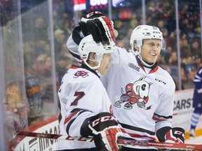 The Niagara IceDogs host the Sarnia Sting tonight at the Meridian Centre.